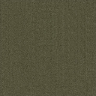 Picture of Philadelphia Commercial by Shaw - Color Accents 24 x 24 Ivy