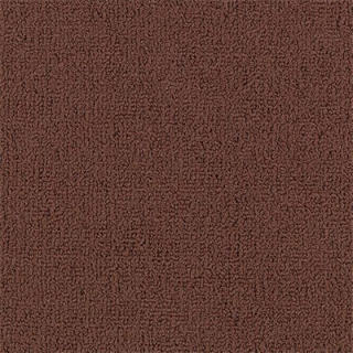 Picture of Philadelphia Commercial by Shaw - Color Accents 24 x 24 Mahogany