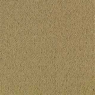 Picture of Philadelphia Commercial by Shaw - Color Accents 24 x 24 Pecan