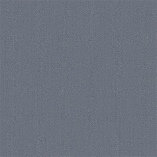 Picture of Philadelphia Commercial by Shaw - Color Accents 24 x 24 Sky