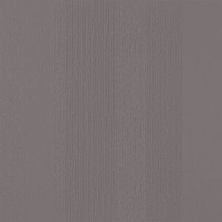 Picture of Johnsonite - Circulinity Fast Lane Poetry Plum