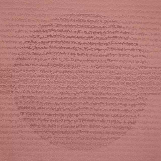 Picture of Johnsonite - Circulinity Round-A-Bout Spicy Chip