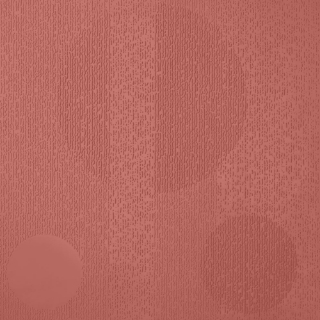 Picture of Johnsonite - Circulinity Tricycle Spicy Chip