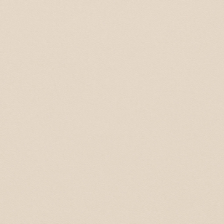 Picture of Johnsonite - Solid Colors Leather Antique White