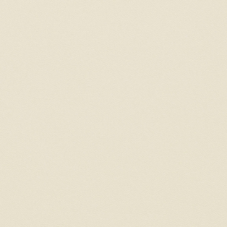 Picture of Johnsonite - Solid Colors Leather Bone White