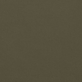 Picture of Johnsonite - Solid Colors Leather Boxwood