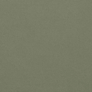Picture of Johnsonite - Solid Colors Leather Glenhaven