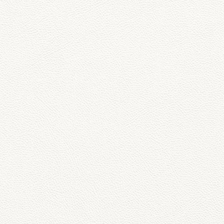 Picture of Johnsonite - Solid Colors Leather Icicle