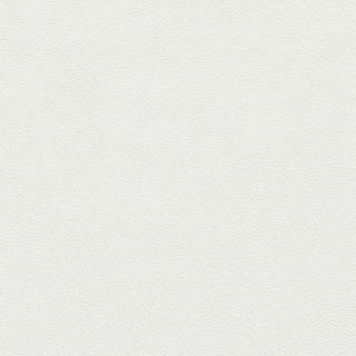 Picture of Johnsonite - Solid Colors Leather Snowbound