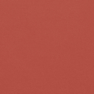 Picture of Johnsonite - Solid Colors Leather Spicy Chip