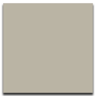 Picture of Johnsonite - Solid Colors Smooth 12 x 12 Macadamia