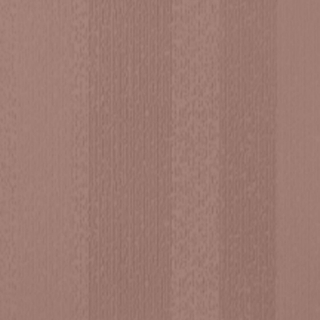 Picture of Johnsonite - Circulinity Fast Lane Red Clay