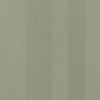 Picture of Johnsonite - Circulinity Fast Lane Gecko