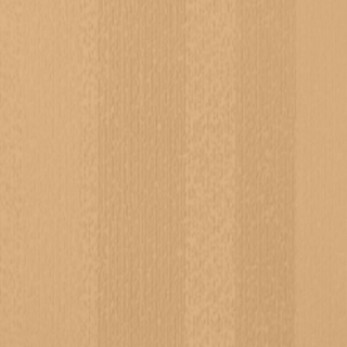 Picture of Johnsonite - Circulinity Fast Lane Mr Sunshine