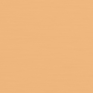 Picture of Johnsonite - Solid Colors Brushed Mr Sunshine