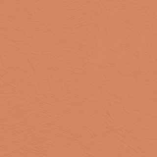 Picture of Johnsonite - Solid Colors Concrete Hot Spice
