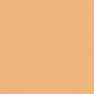 Picture of Johnsonite - Solid Colors Concrete Mr Sunshine