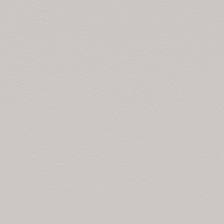 Picture of Johnsonite - Solid Colors Hammered Mt Rainier