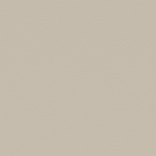 Picture of Johnsonite - Solid Colors Hammered Sandstorm