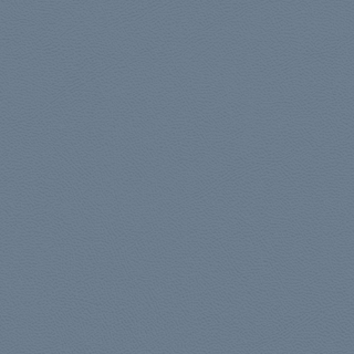 Picture of Johnsonite - Solid Colors Leather The Blues