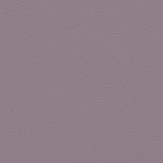 Picture of Johnsonite - Solid Colors Leather Shoreline Purple