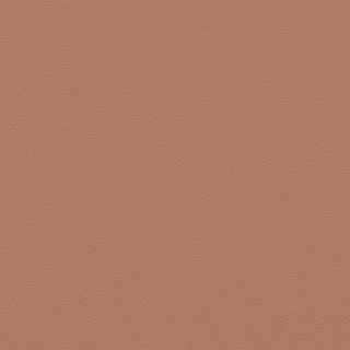 Picture of Johnsonite - Solid Colors Leather Red Clay