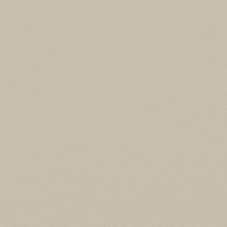 Picture of Johnsonite - Solid Colors Leather Sandstorm