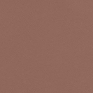 Picture of Johnsonite - Solid Colors Rice Paper Misted Plum