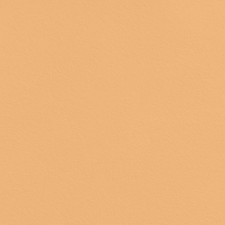 Picture of Johnsonite - Solid Colors Rice Paper Mr Sunshine