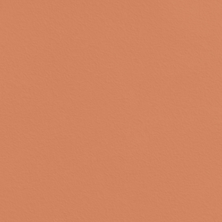 Picture of Johnsonite - Solid Colors Rice Paper Hot Spice