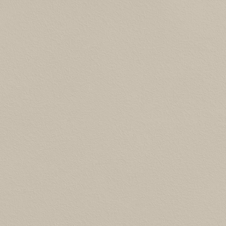 Picture of Johnsonite - Solid Colors Rice Paper Sandstorm