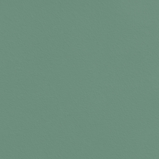 Picture of Johnsonite - Solid Colors Rice Paper Grinch