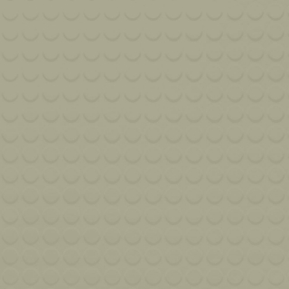 Picture of Johnsonite - Solid Colors Raised Round .155 Gecko