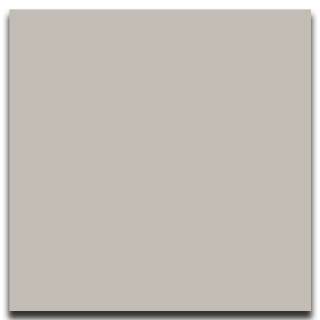 Picture of Johnsonite - Solid Colors Smooth 24 x 24 Whispering Mist