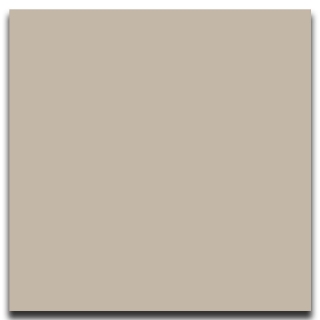 Picture of Johnsonite - Solid Colors Smooth 24 x 24 Sandstorm