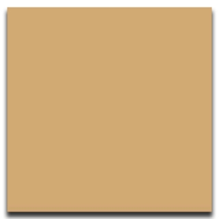 Picture of Johnsonite - Solid Colors Smooth 24 x 24 Sisal