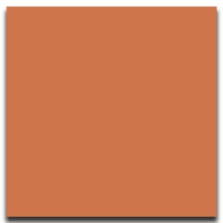 Picture of Johnsonite - Solid Colors Smooth 12 x 12 Hot Spice
