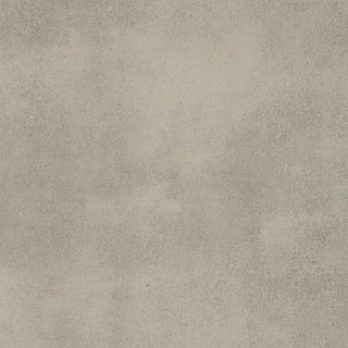 Picture of Amtico - Abstract 12 x 24 Stucco Putty