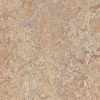 Picture of Forbo - Marmoleum Cinch Loc Seal 12 x 12 Donkey Island