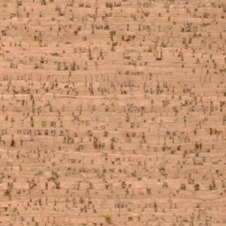 Picture of Globus Cork - Striata Texture 6 x 36 Bleached