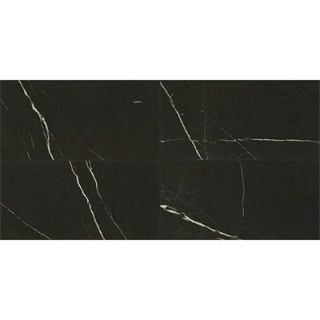 Picture of Daltile - Marble Attache 24 x 48 Matte Nero