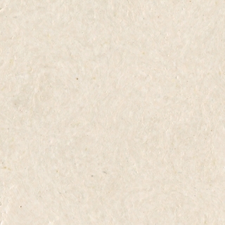 Picture of Globus Cork - Nugget Texture 12 x 12 Mist