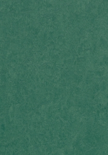 Picture of Forbo - Marmoleum Cinch Loc Seal 12 x 36 Hunter Green
