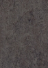 Picture of Forbo - Marmoleum Cinch Loc Seal 12 x 36 Lava