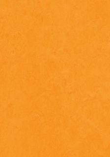 Picture of Forbo - Marmoleum Cinch Loc Seal 12 x 36 Marigold