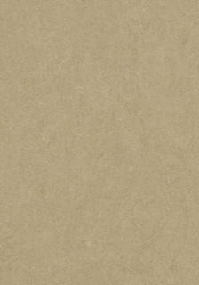 Picture of Forbo - Marmoleum Cinch Loc Seal 12 x 36 Oat