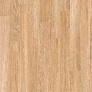 Picture of Shaw Floors - Worlds Fair 6 MIL Paris