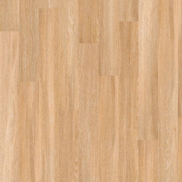 Picture of Shaw Floors - Worlds Fair 6 MIL Paris