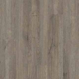 Picture of Shaw Floors - Worlds Fair 6 MIL Chicago