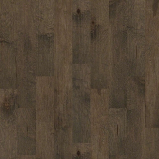 Picture of Shaw Floors - Pacific Grove Timberwolf